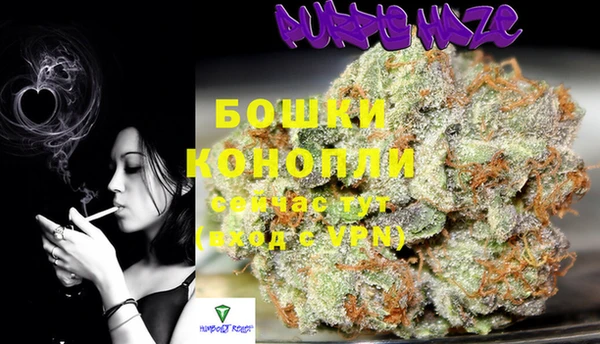 гидра Богданович