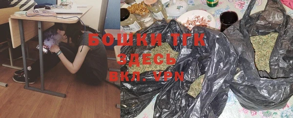 гидра Богданович
