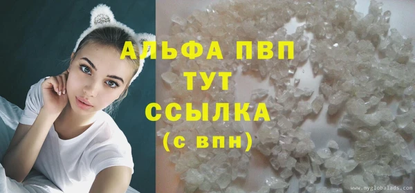 гидра Богданович